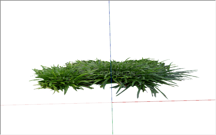 现代兰花草景观植物su模型-图二