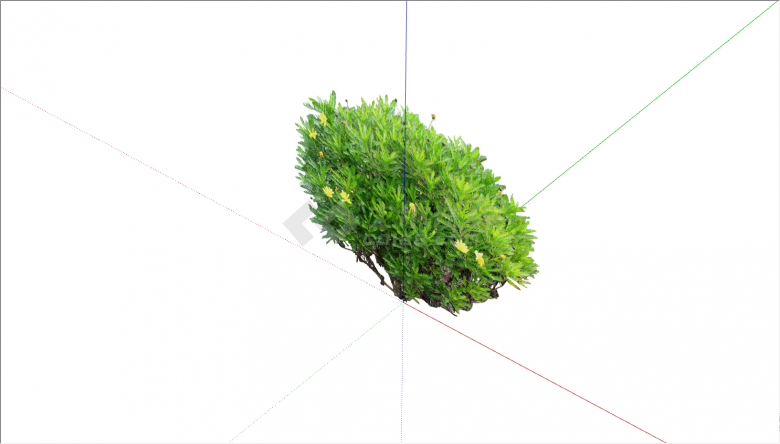 一墩茂密的绿色的植物su模型-图一