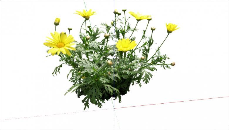 开有黄色小花的茂密植物su模型-图二