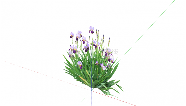 开有紫色小花的茂密植物su模型-图一