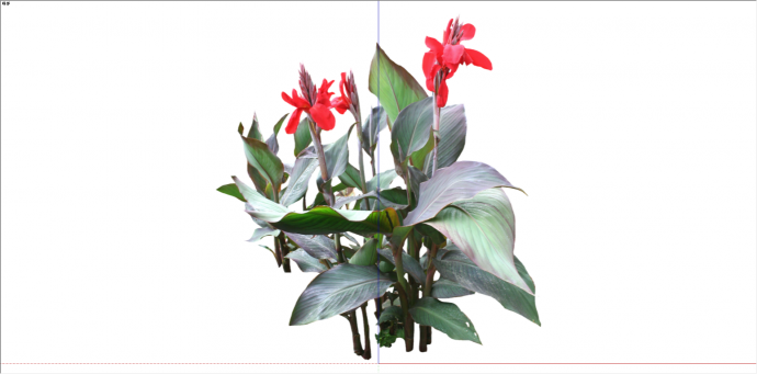 观赏性灌木花卉植物su模型_图1