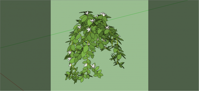 现代经典小白花藤蔓植物su模型_图1