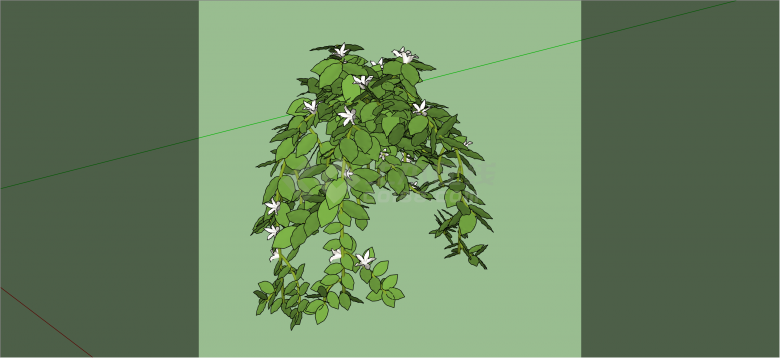 现代经典小白花藤蔓植物su模型-图一