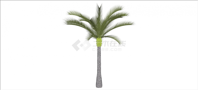细致碧绿棕榈热带树木su模型-图一