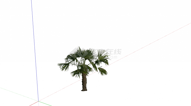棕榈热带树绿植外观su模型-图一