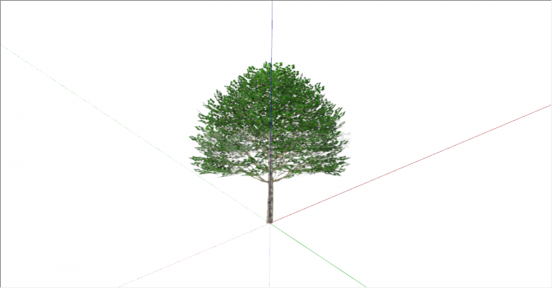 经典杨树su建模使用乔木模型-图二