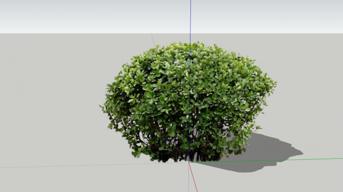 海桐球绿色植物景观su模型_图1