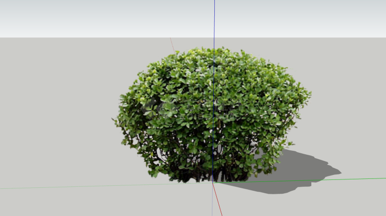 海桐球绿色植物景观su模型-图一