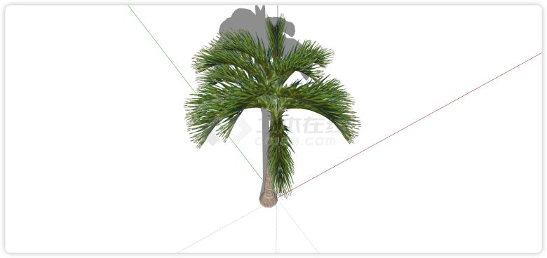 松鼠尾巴棕榈树热带树su模型-图一