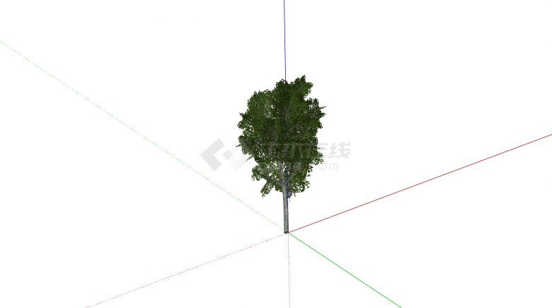 绿色细枝杆茂密乔木su模型-图二