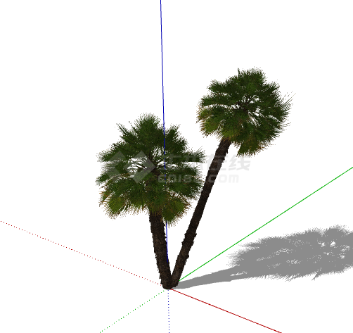 黑色现代简约3D热带树su模型-图二