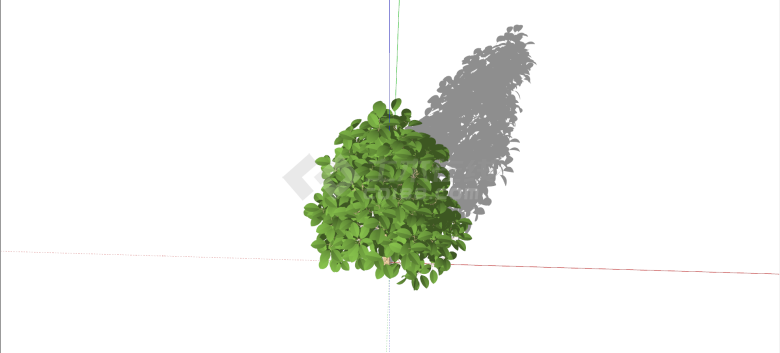 桑科垂叶榕绿色乔木su模型-图二