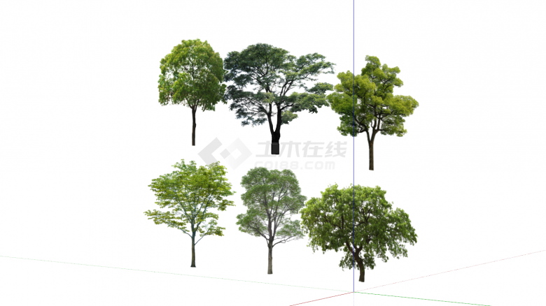 现代香樟树行道树真实树su模型-图二