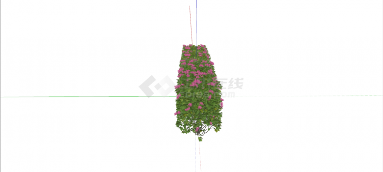 红色山茶花灌木su模型-图二