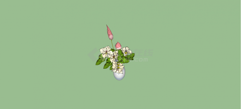 蔷薇科月季花室内植物su模型-图二