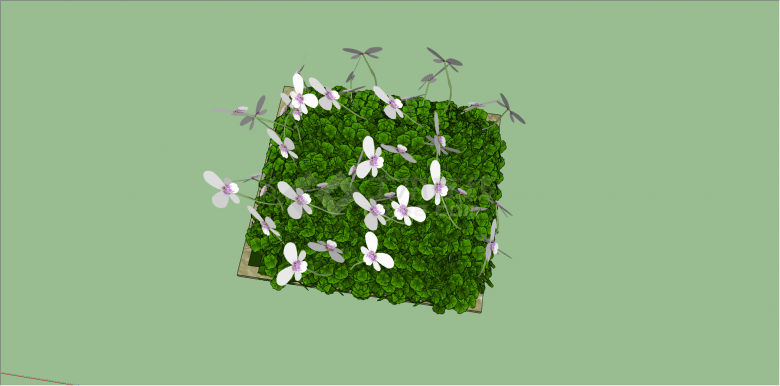 现代养殖白色花植物su模型-图二
