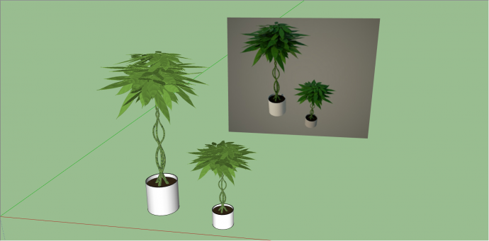 圆柱状盆栽养殖植物 su模型_图1