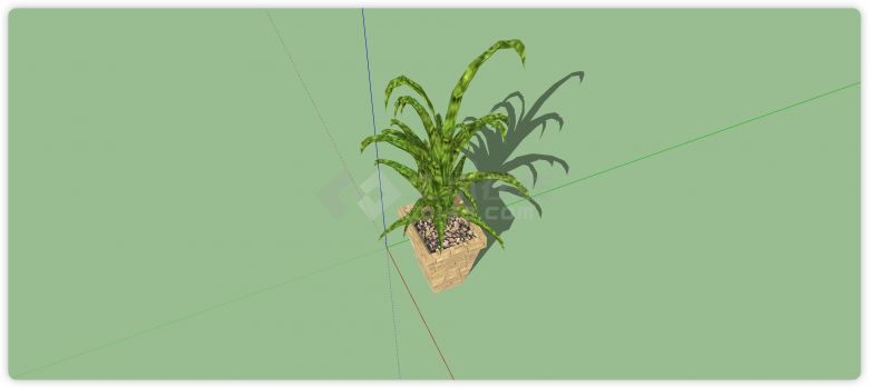 文化砖花盆绿色植物室内植物su模型-图二