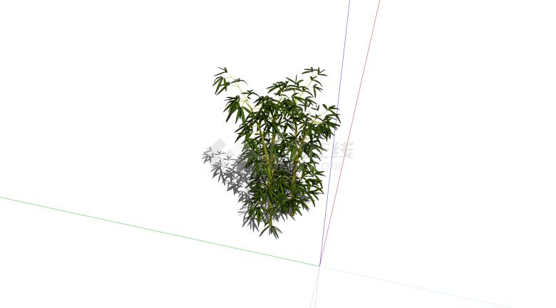 枝叶繁茂的景观绿竹su模型-图二