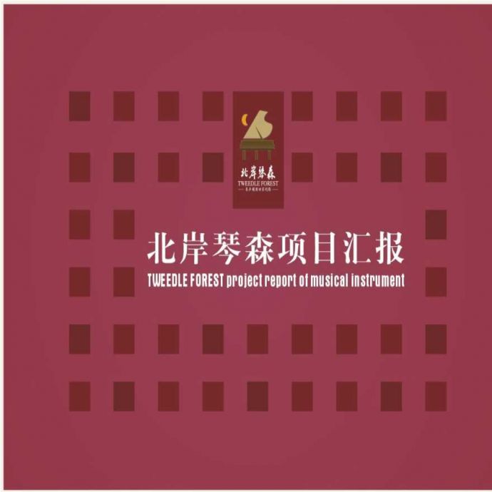 宁波北岸琴森项目销售执行策划报告88页.ppt_图1