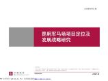昆明军马场项目定位及发展战略研究.pdf图片1