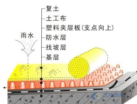 排水板示意图.jpg