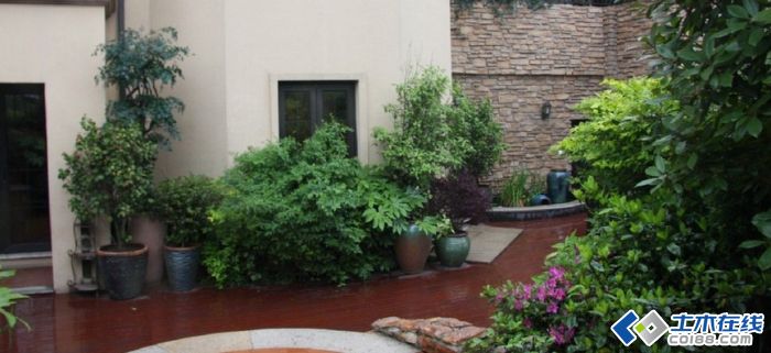 庭院为什么不宜种植大树? 为什么要设置水池?