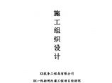 山东]京杭运河船闸改造工程施工组织设计图片1