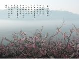 桃花坪沿江生态休闲区旅游总体规划2011～2026.doc图片1