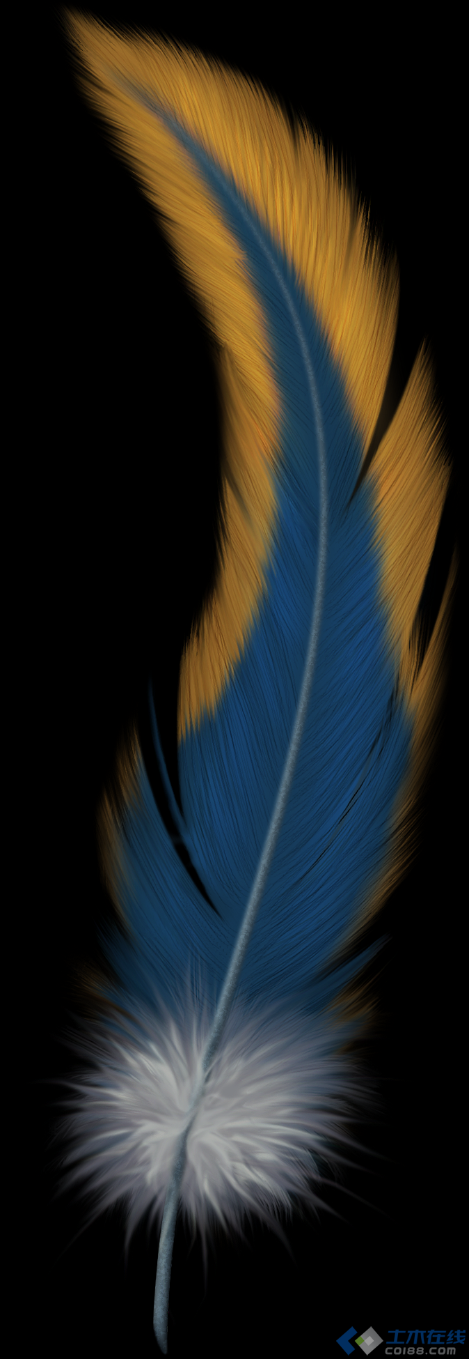 feather01.png