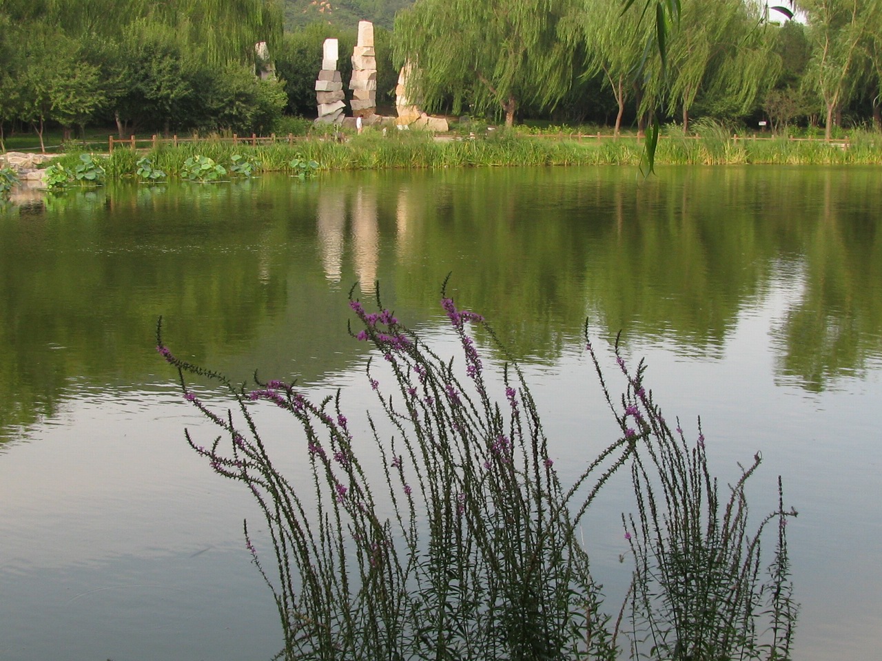 北京植物园31.jpg