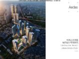 中洲上沙项目 城市设计专项研究-2014.12图片1
