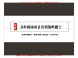 中原2010年2月上海万科机场项目营销策略报告.pdf图片1