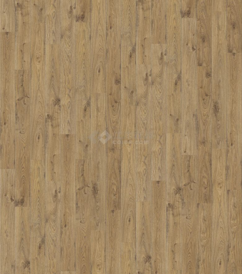 木地板的素材 (289).jpg-图一