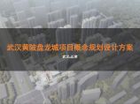 正荣武汉黄陂盘龙城项目规划设计投标方案 天华.pdf图片1