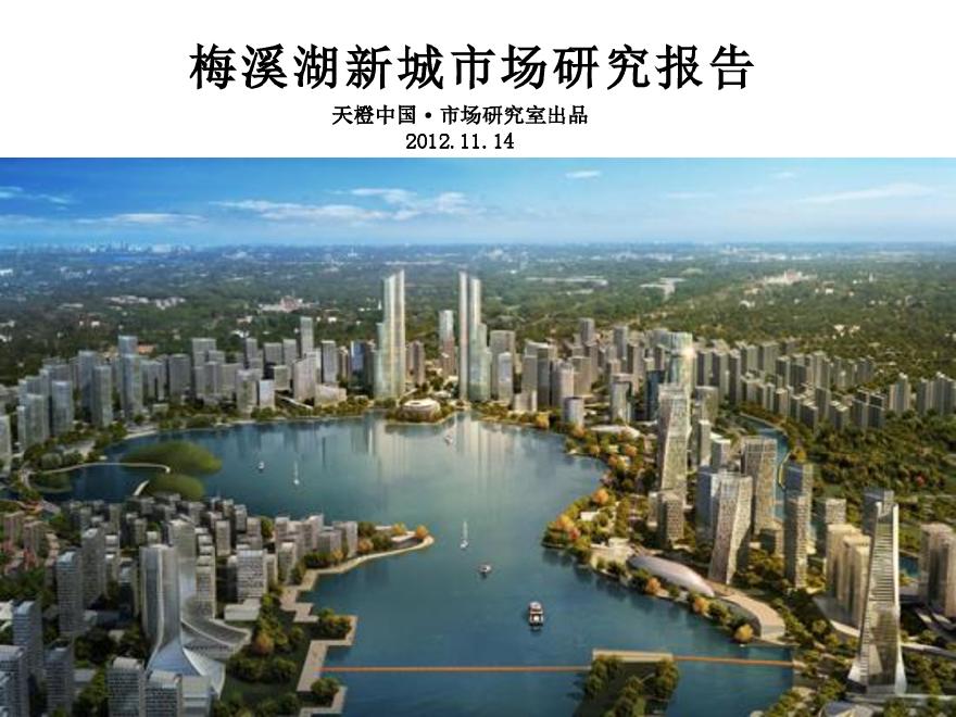 梅溪湖新城市场研究报告(2012.11.14).pdf-图一