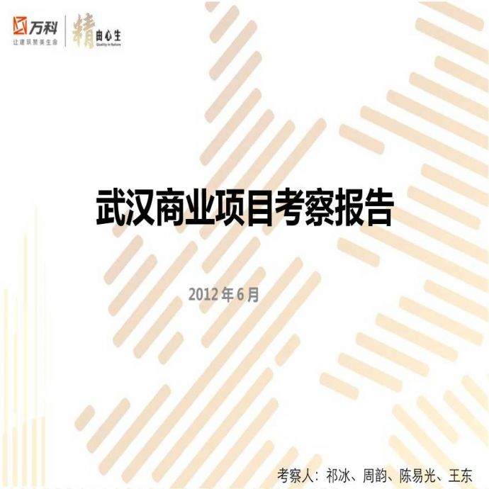 2012.7武汉商业项目考察报告_(NXPowerLitee).pptx_图1