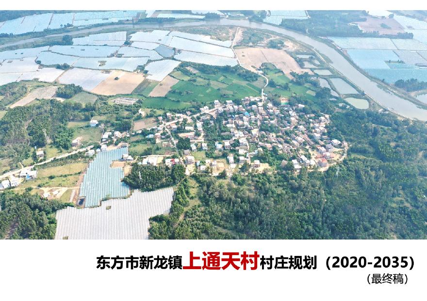 东方市新龙镇上通天村村庄规划(2020-2035)-图一