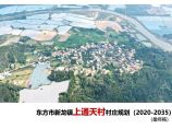 东方市新龙镇上通天村村庄规划(2020-2035)图片1