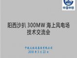 阳江沙扒300MW海上风电场技术交流会 3-21 - 副本（中铁大桥局）.pptx图片1