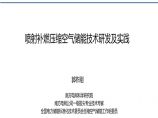 喷射补燃压缩空气储能技术研发及实践 分享版(1).pdf图片1