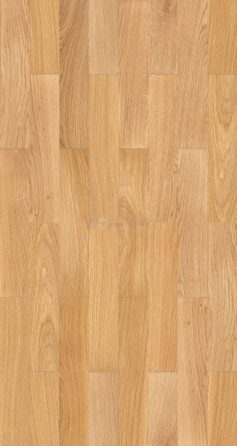 木地板的素材 (216).jpg-图一