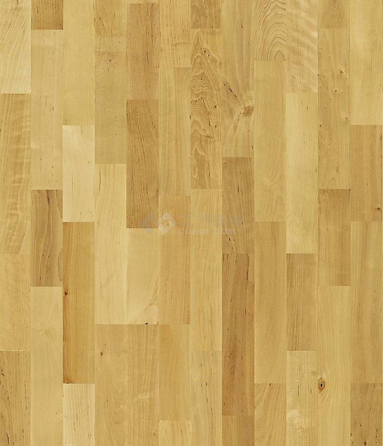木地板的素材 (166).jpg-图一
