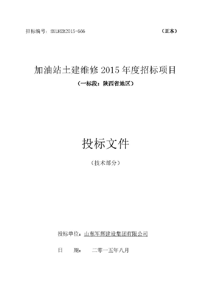 加油站土建维修2015技术标.pdf-图一