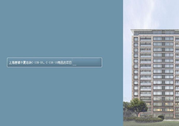 上海唐镇华夏地块商品房项目方案文本.pdf_图1