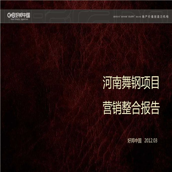2012年河南舞钢项目价值整合报告.ppt_图1
