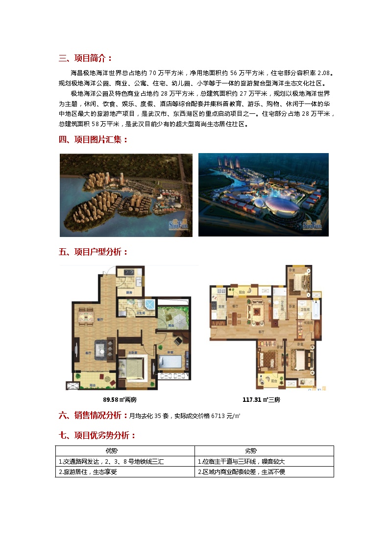 武汉旅游地产项目简析.docx-图二