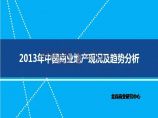 2013中国商业地产发展趋势研究.pptx图片1