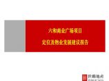 世联2012深圳六和商业广场定位及物业发展建议233P.ppt图片1