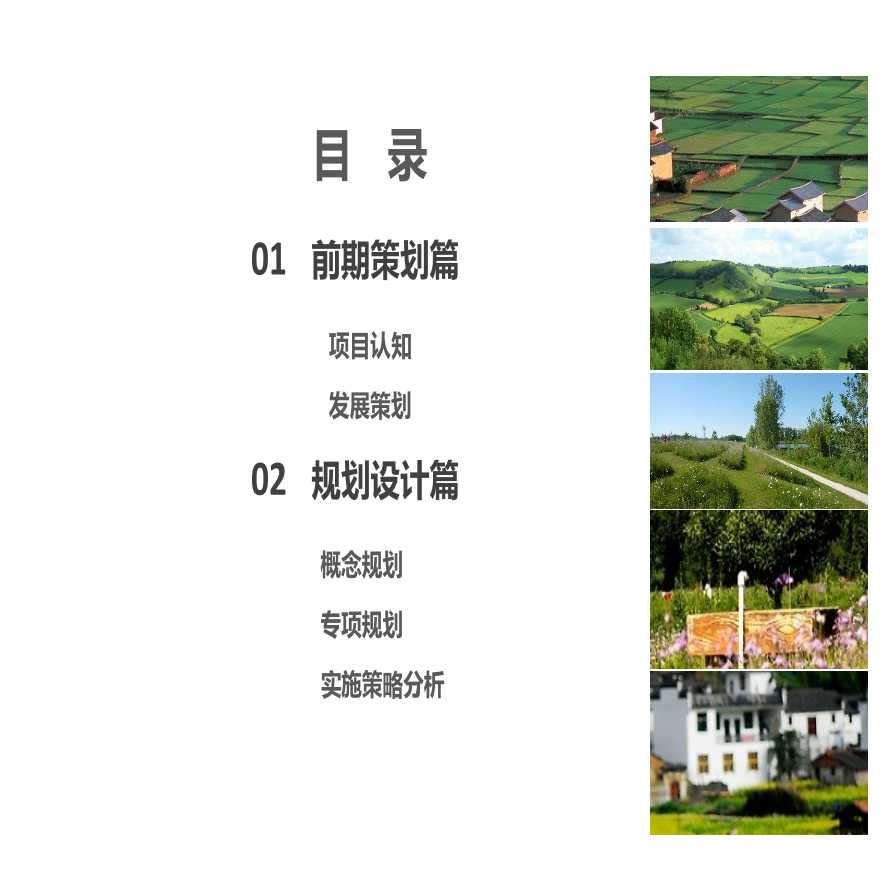 安徽阜阳现代农业休闲公园发展策划及概念规划-图二